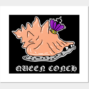 Queen Conch Snail Posters and Art